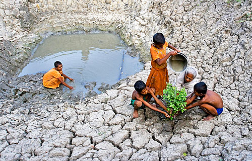 Four children and an elderly woman working together to plant a sapling on dry, cracked earth next to a small pond with low water, highlighting efforts toward sustainability and environmental restoration during drought conditions